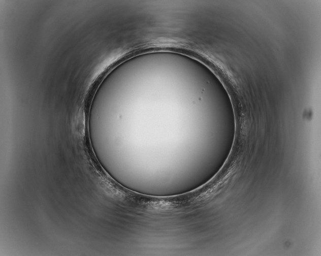 X0000100321317200806121054