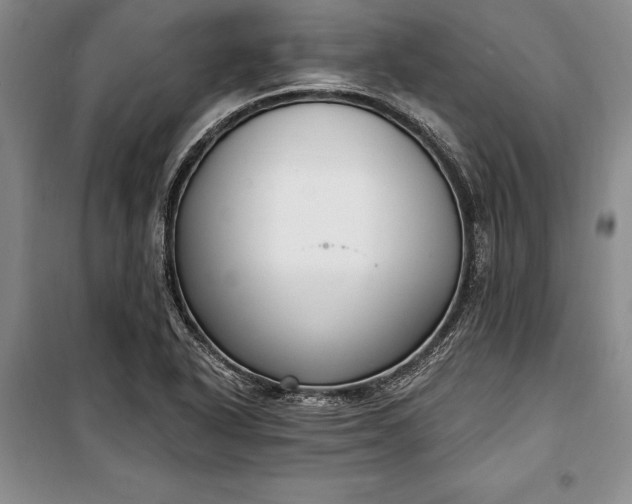 X0000100321318200806121054