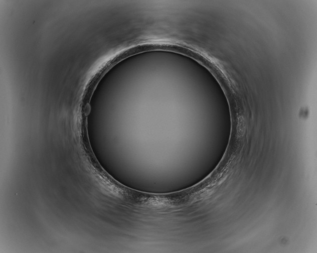 X0000100321319200806121054