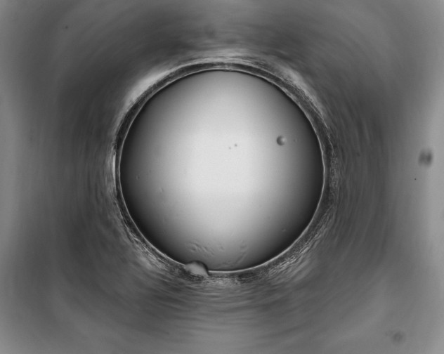 X0000100321320200806121054