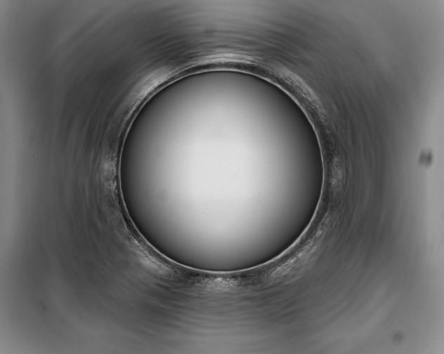 X0000100321321200806121054