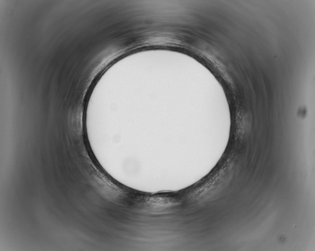 X0000100321322200806121054