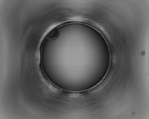 X0000100321323200806121054