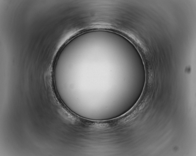 X0000100321325200806121054