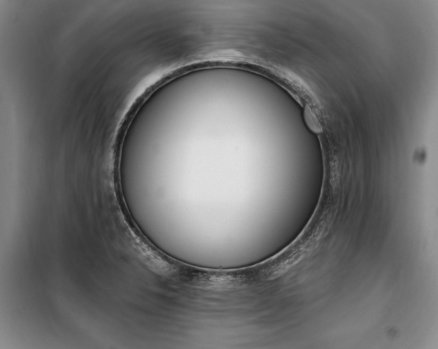 X0000100321326200806121054