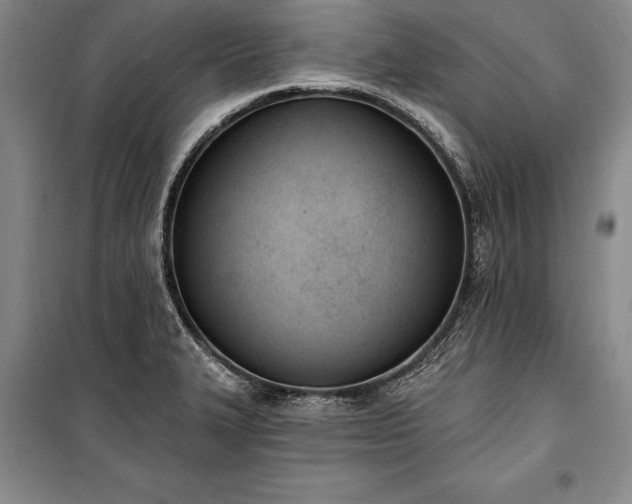 X0000100321327200806121054