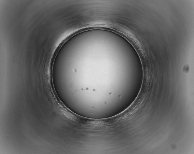 X0000100321328200806121054