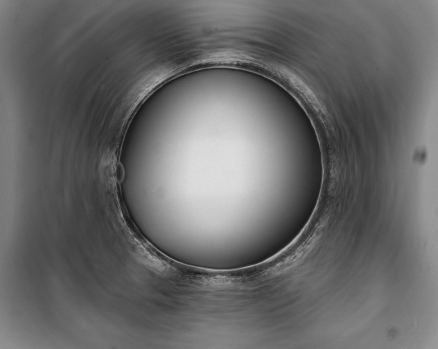 X0000100321329200806121054