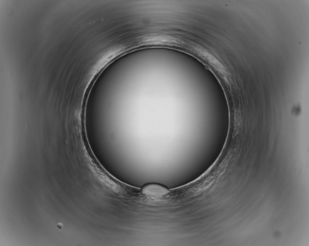 X0000100321330200806121054