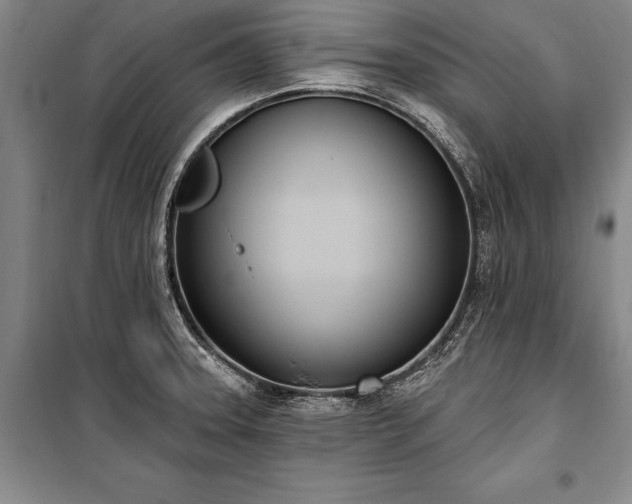 X0000100321331200806121054