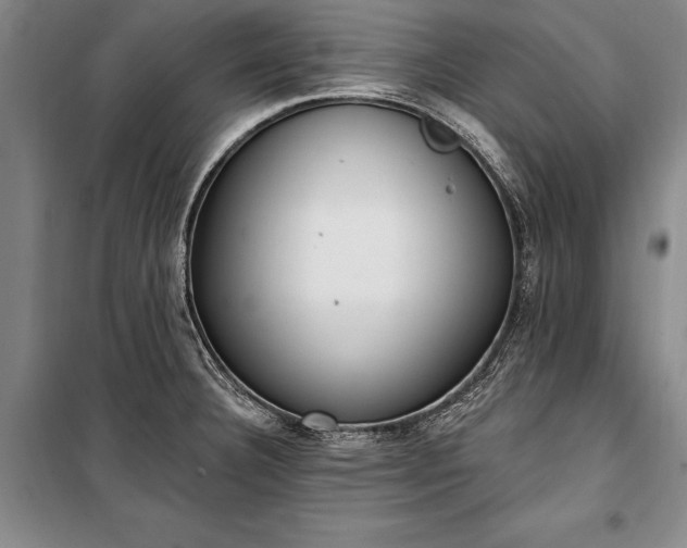 X0000100321332200806121054