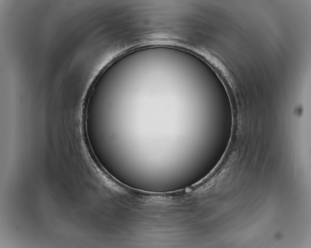 X0000100321333200806121054