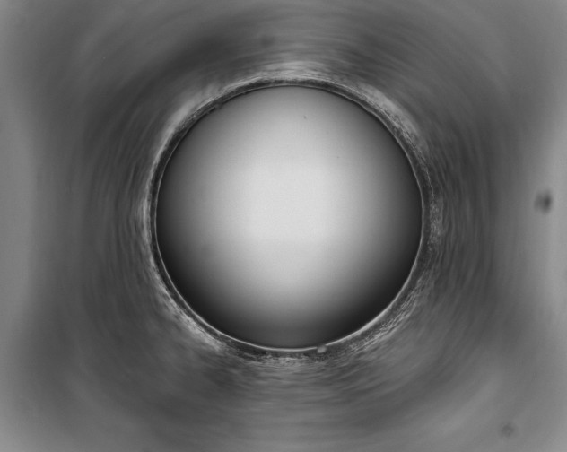 X0000100321334200806121054