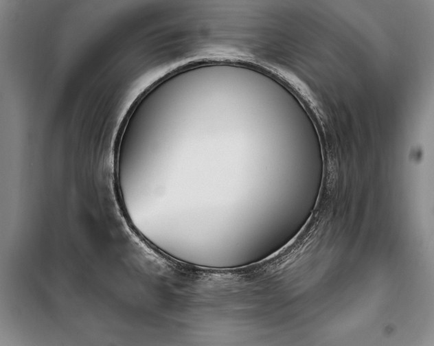 X0000100321335200806121054