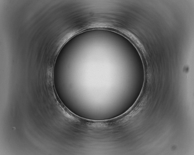 X0000100321337200806121055