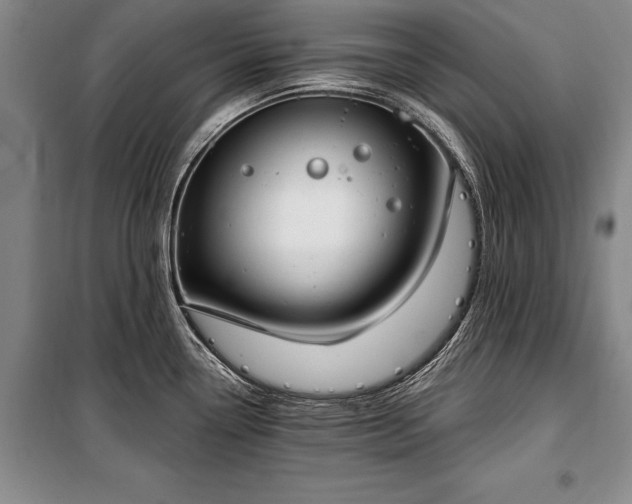 X0000100321338200806121055