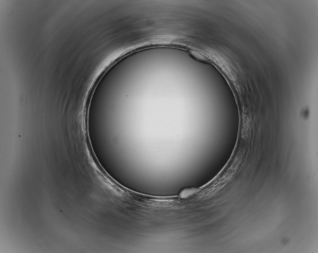 X0000100321342200806121055