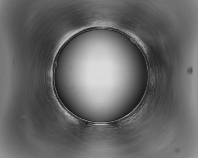 X0000100321343200806121055