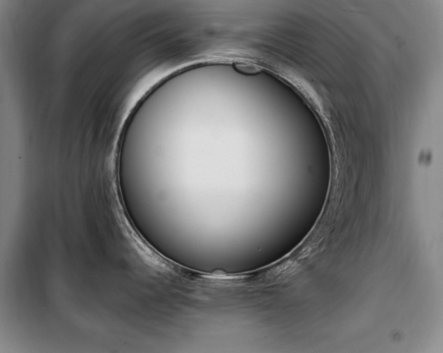 X0000100321344200806121055