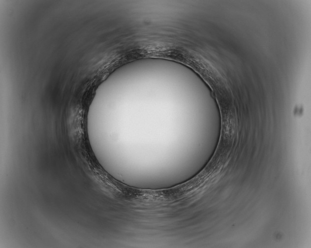 X0000100321346200806121054