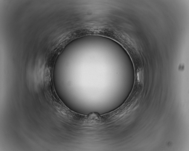 X0000100321347200806121054