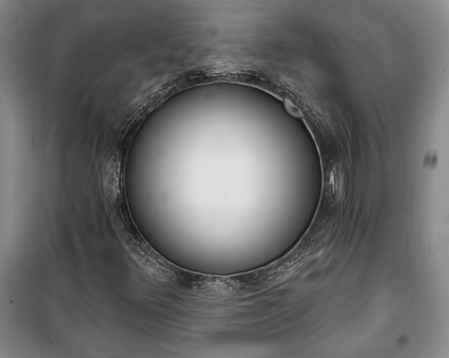 X0000100321348200806121054