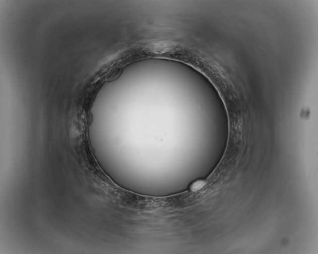 X0000100321349200806121054