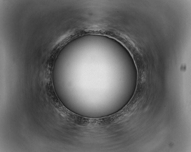 X0000100321350200806121054