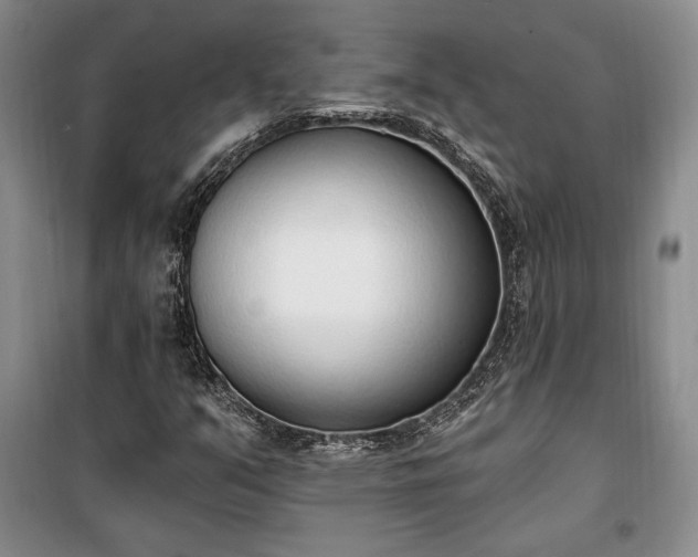 X0000100321351200806121054