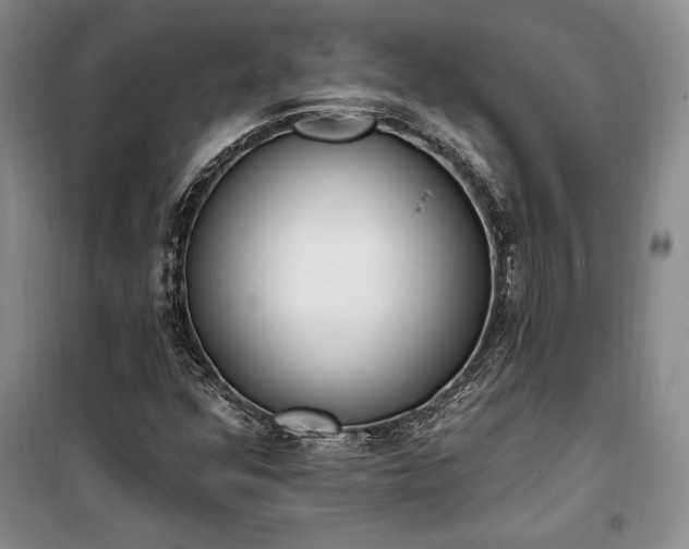 X0000100321352200806121054