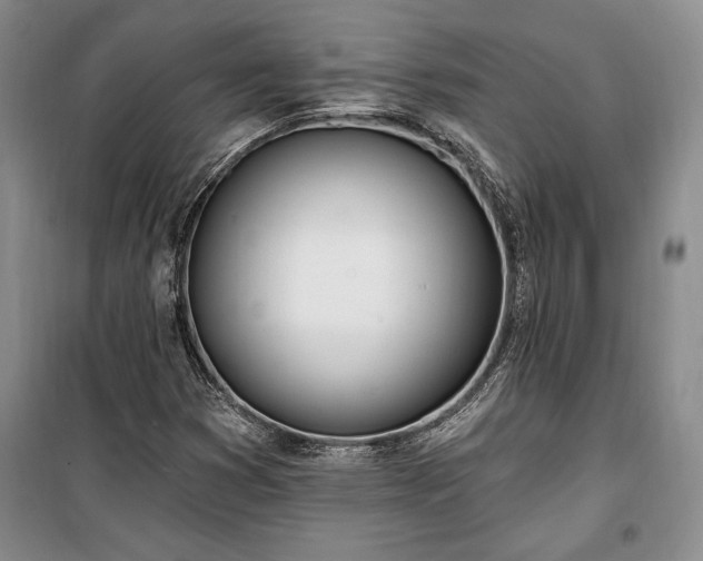 X0000100321353200806121054