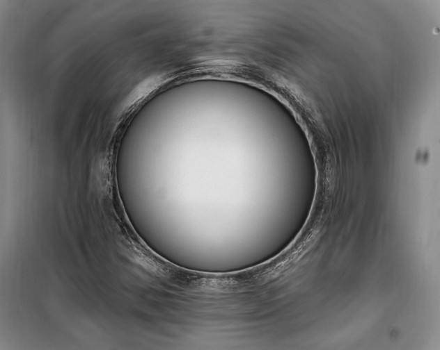 X0000100321354200806121054