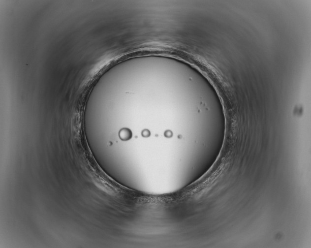 X0000100321355200806121054