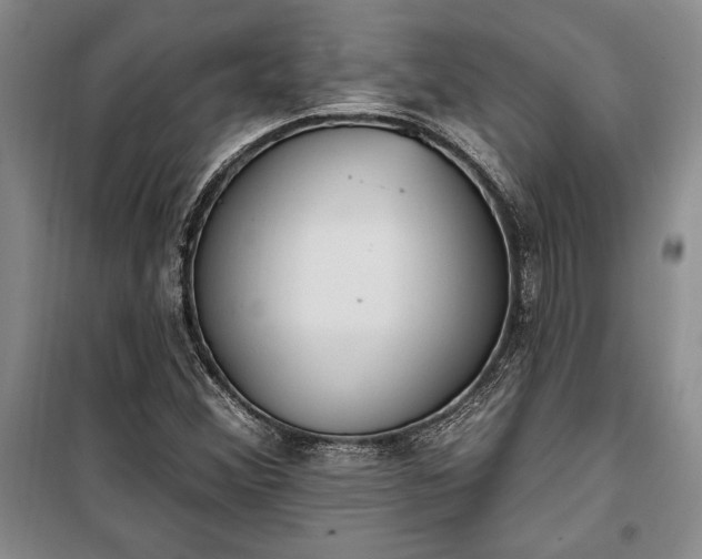 X0000100321356200806121054