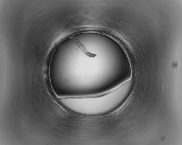 X0000100321357200806121054