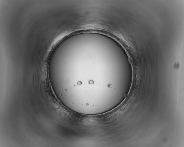 X0000100321358200806121054