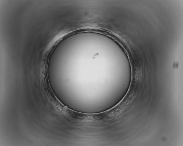 X0000100321359200806121054