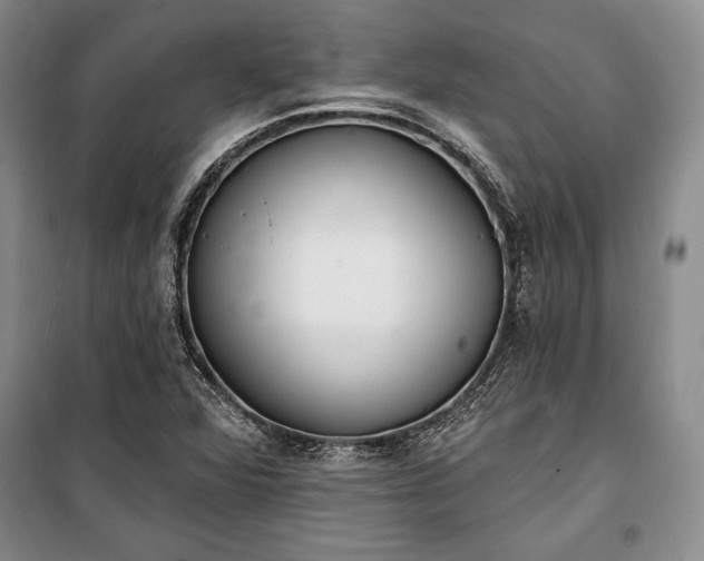 X0000100321360200806121054