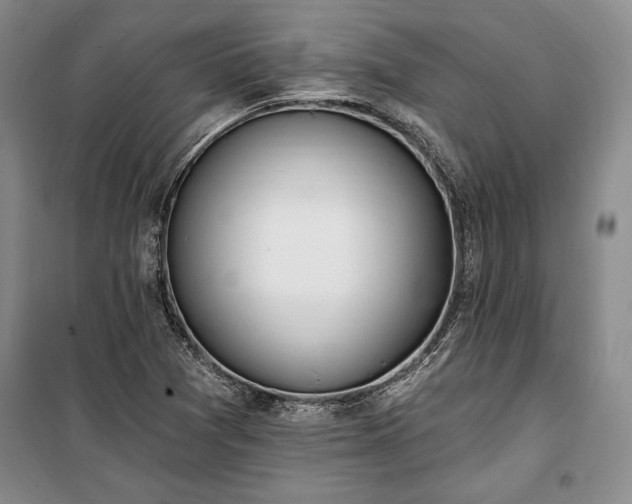 X0000100321361200806121054