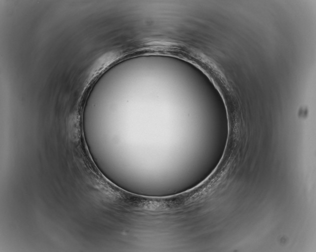 X0000100321362200806121054