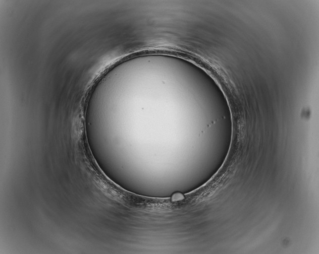 X0000100321363200806121054