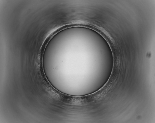 X0000100321364200806121054