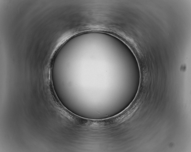 X0000100321365200806121054