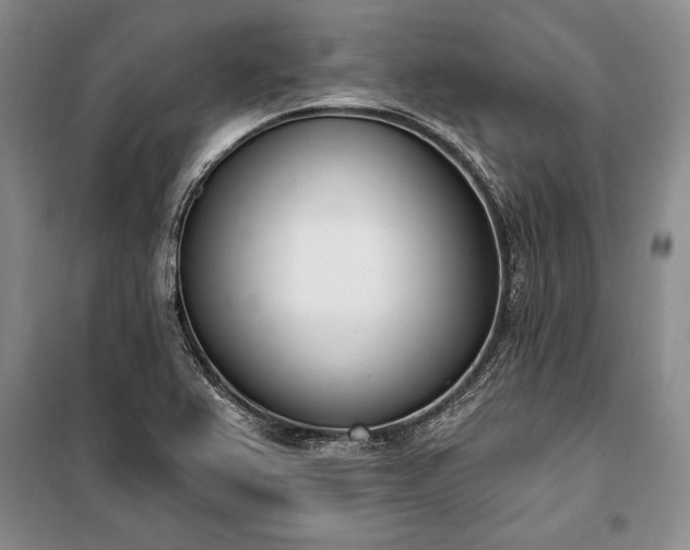 X0000100321367200806121054