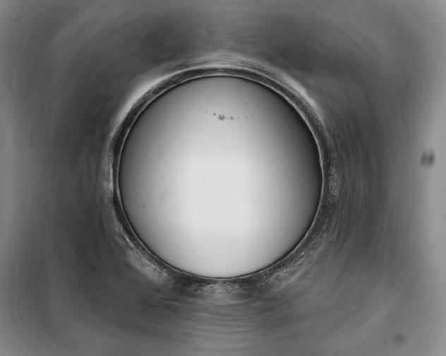 X0000100321368200806121054