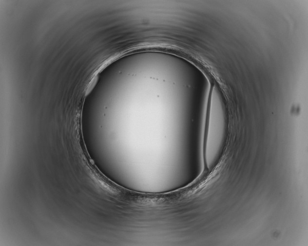 X0000100321369200806121054