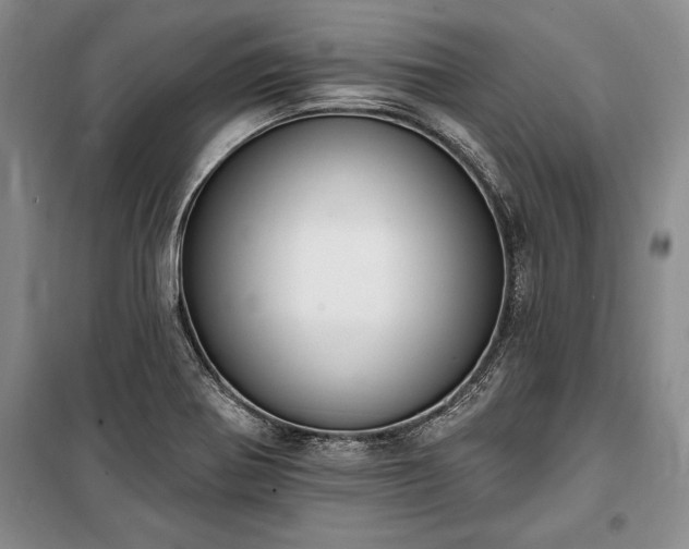 X0000100321370200806121054