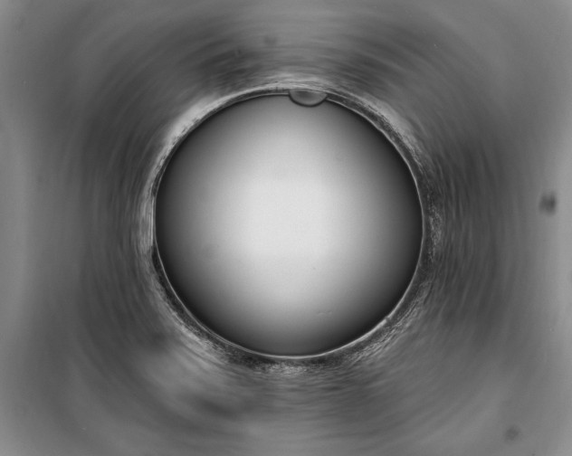 X0000100321371200806121054