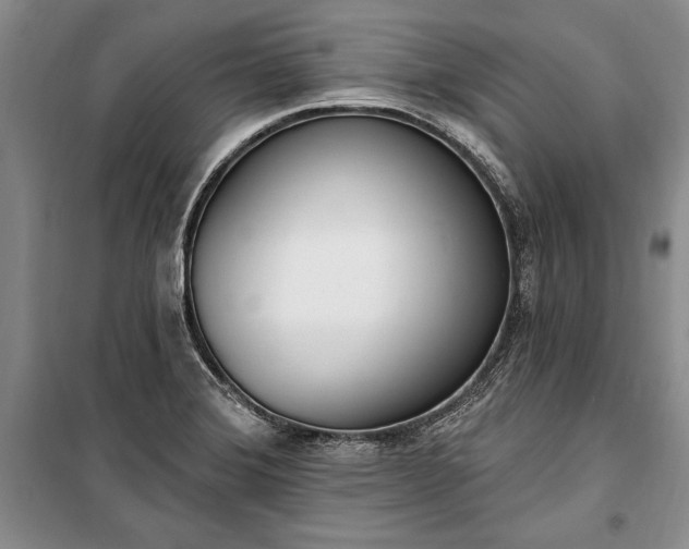 X0000100321372200806121054