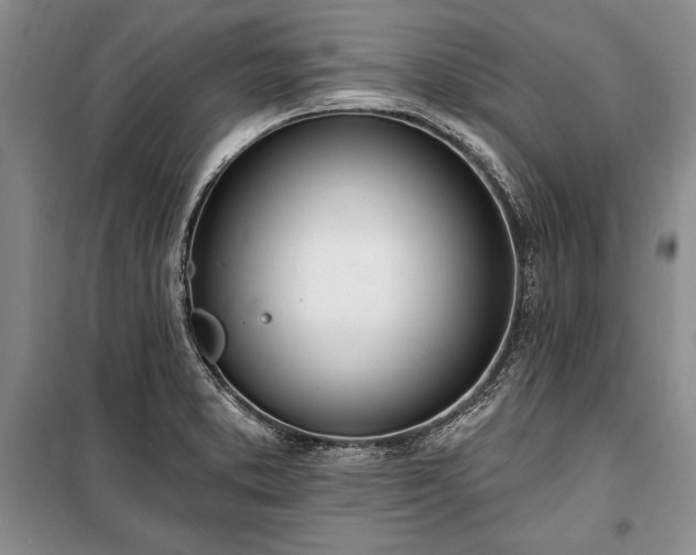 X0000100321373200806121054